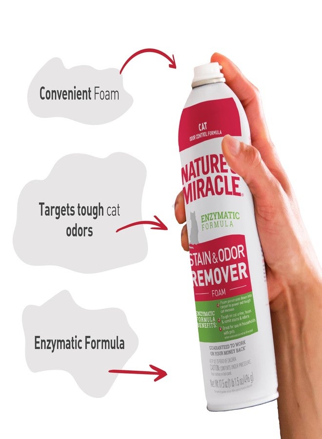 نايتشرز ميريكل رغوة مزيل البقع والروائح المتقدمة من نيتشرز ميراكل للقطط 17.5 أونصة، للفوضى الشديدة للقطط، بخاخ (علبة واحدة تحتوي على 6 علب فردية سعة 17.5 أونصة) - Image 5